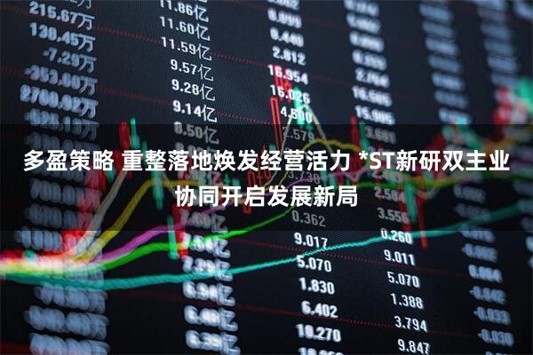 多盈策略 重整落地焕发经营活力 *ST新研双主业协同开启发展新局